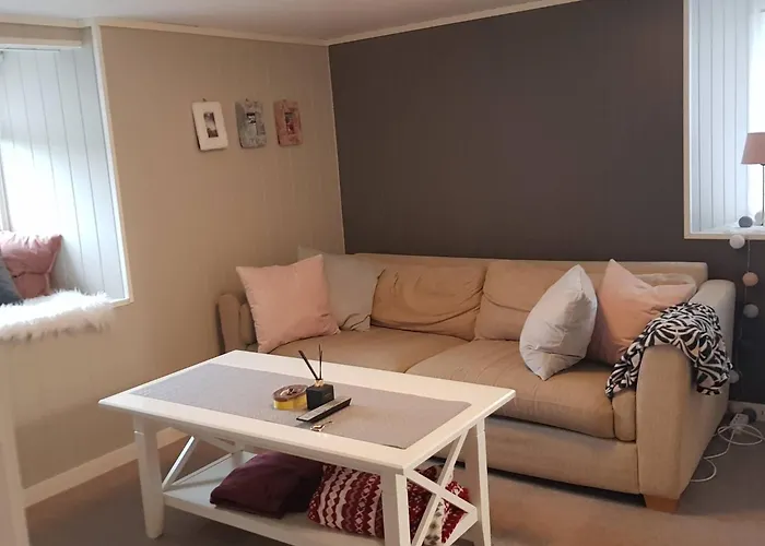 Cosy Living Room, Bedroom And Bathroom And Kitchen Area Konukevi